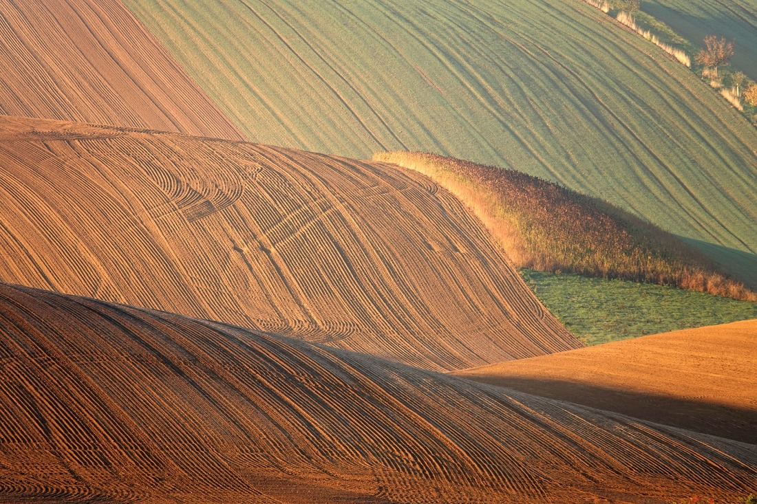 Grain fields on a sloping land during harvest season on a large Idaho Farm.