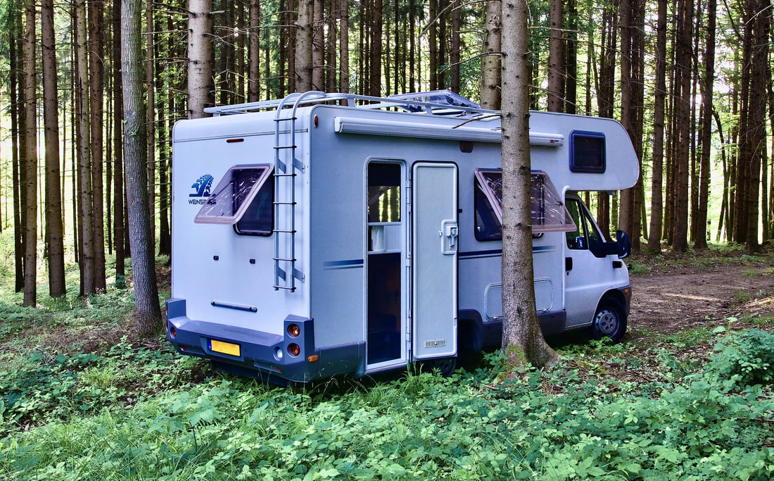 Motorhome camped in the woods next to a tree with the window and door open.